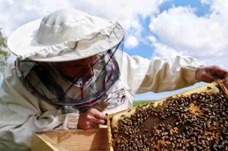 Urban Beekeeping: Be a Backyard Beekeeper Image